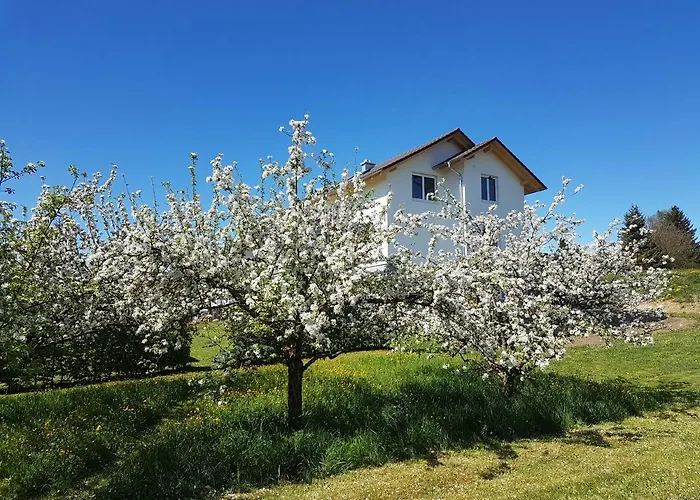 Buehlingen Apartment